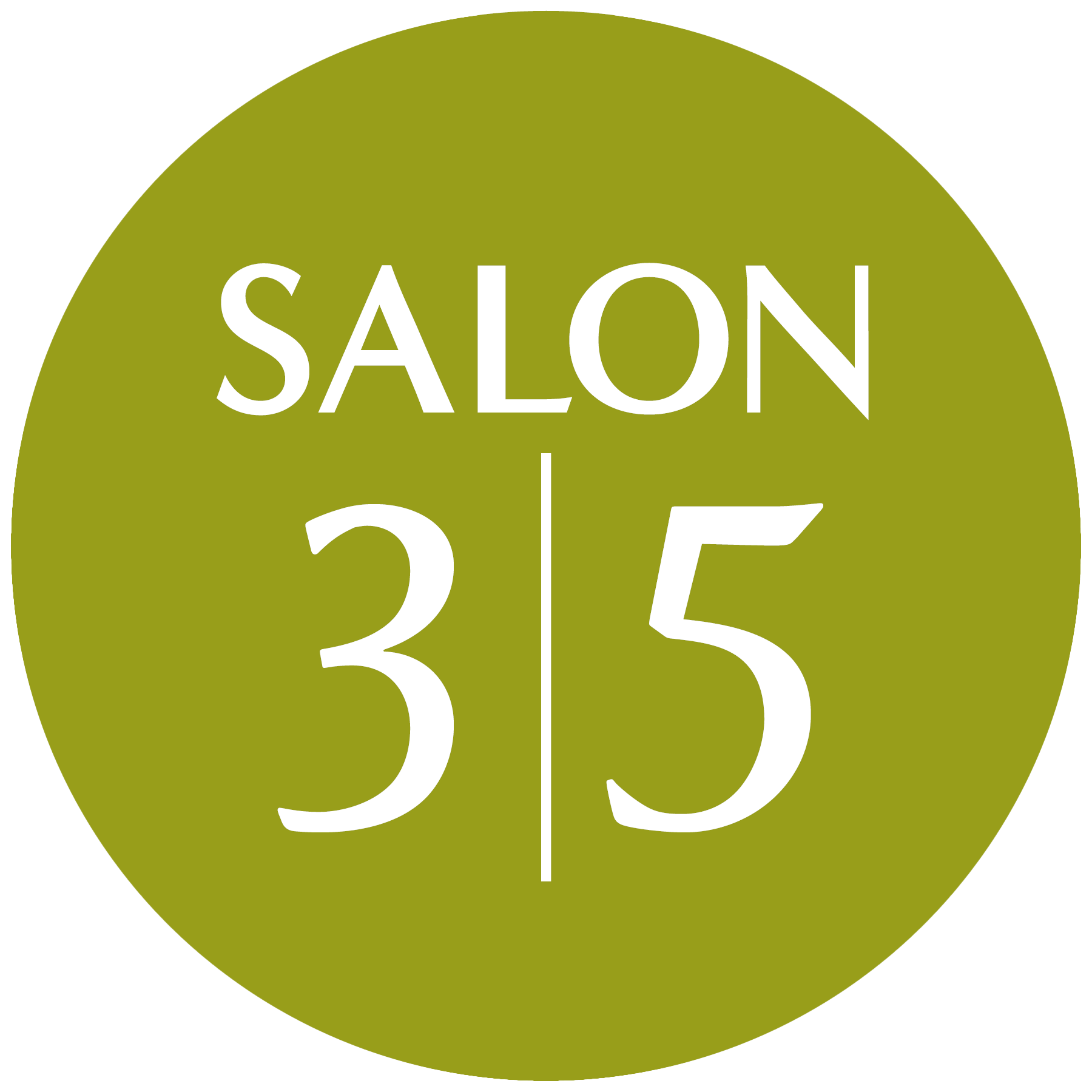 This Graphic shows the Salon 3 5 logo