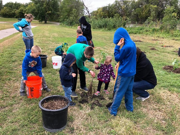 This image shows people planting a tree.