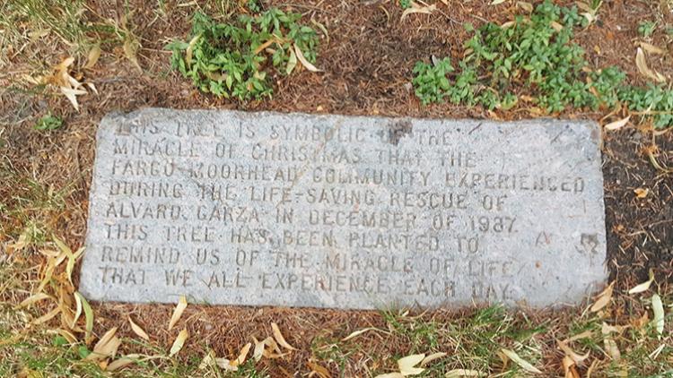 This image shows the plaque for a tree memorial dedication.