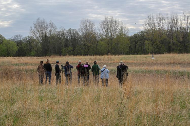 This image shows a group of people out in a field looking at flying birds during the birding program.