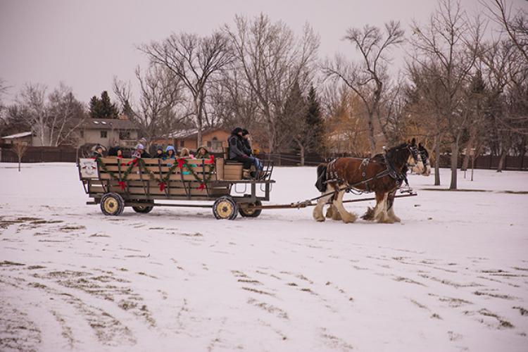 This image shows the horse-drawn carriage ride at Santa Village.