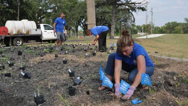 Photo shows volunteer planting flowers.
