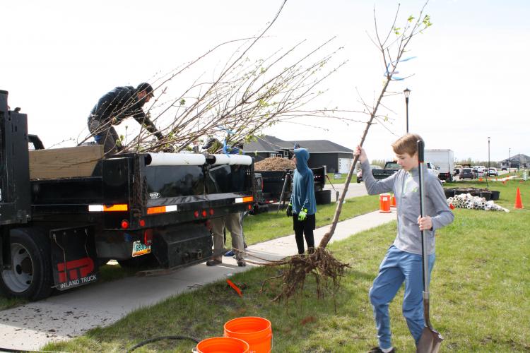 This image shows kids taking trees off the truck.
