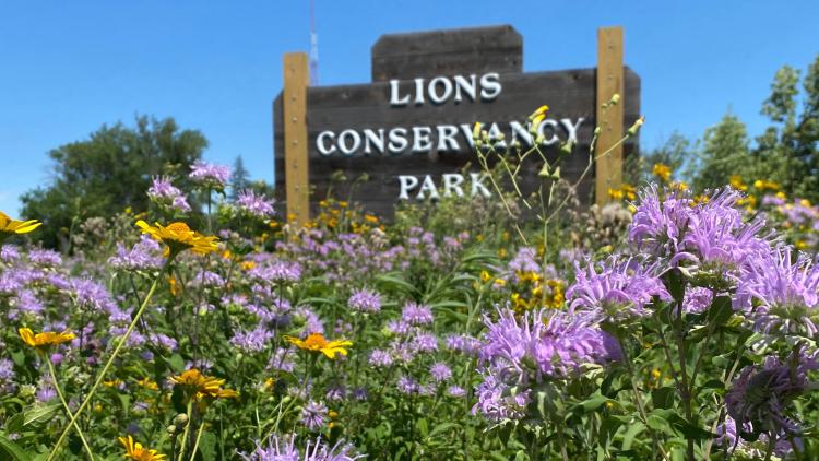 Lions Conservancy Park sign with purple and yellow flowers