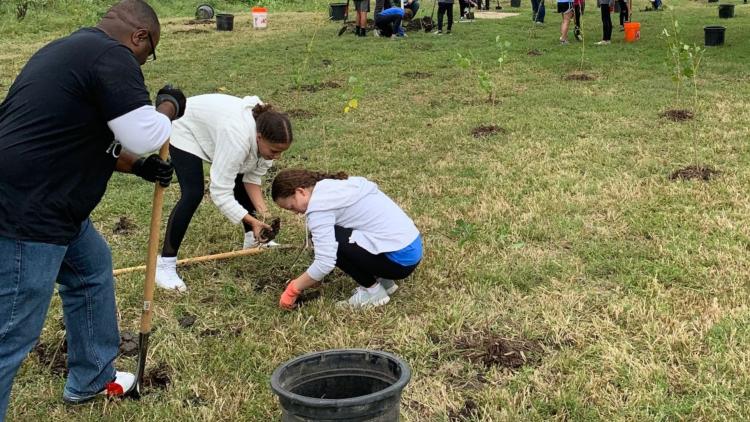 Three volunteers planting a tree in a park
