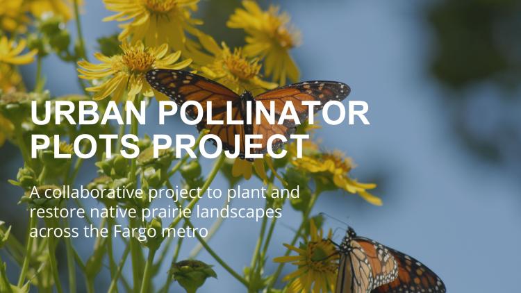 Picture of a butterfly on a yellow flower with white text that says Urban Pollinator Plots Project in white text.