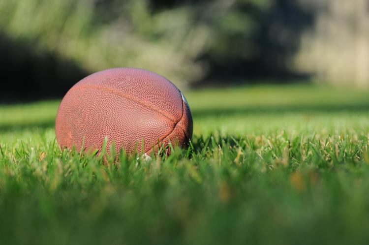Football sitting in grass