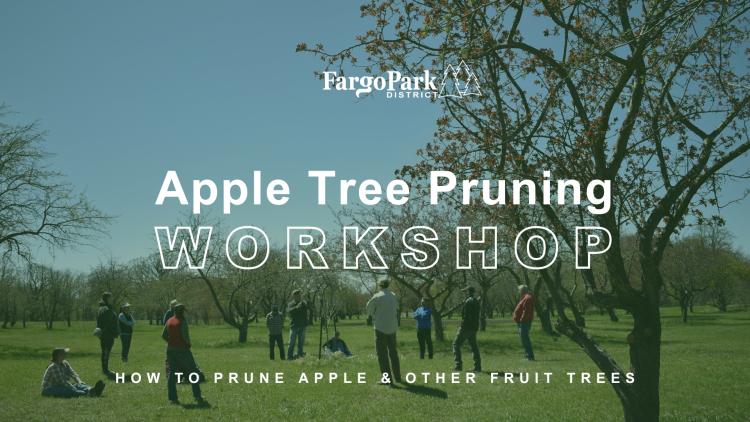 Apple Tree Pruning Workshop Image in the background is people standing and sitting in an orchard with many barely flowering trees, then over the picture is the Fargo Park District logo, Apple Tree Pruning Workshop - How to prune apple & other fruit trees