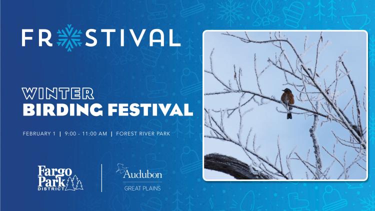 Frostival logo on blue background  - WINTER BIRDING FESTIVAL - February 1 - 9am-11am - Forest River Park with the Fargo Park District & Audubon Great Plains Logos - to the left is an image a robin sitting in on a snowy branch with many other snowy branches around it