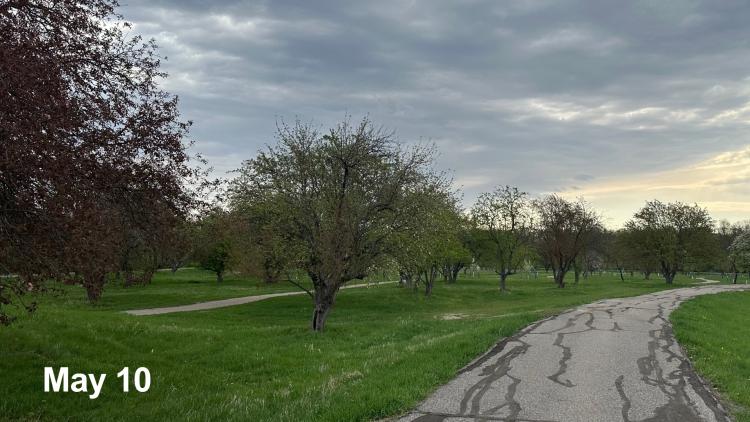 May 10, 2025 - Orchard Glen Park from landscape view walking on the path