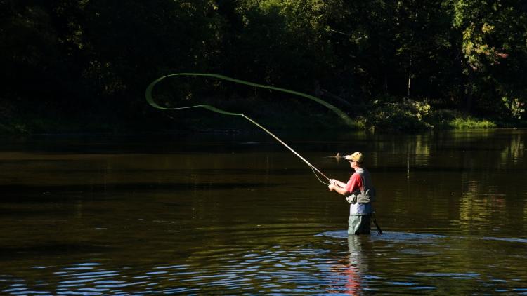 Person standing knee-deep in a calm river fly fishing, casting a line that curves through the air, with trees and sunlight along the riverbank in the background.