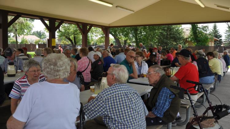 A large group of older adults visits around picnic tables under a shaded park shelter during a community picnic.