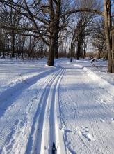 This image shows a cross country ski trail.
