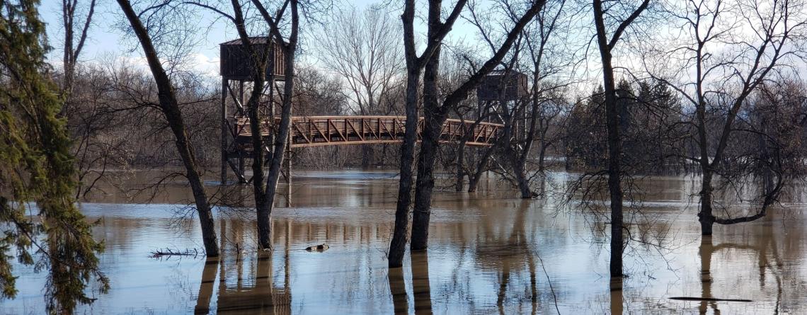 photo of Lindenwood Park bridge with flooding present