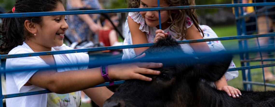 Two girls petting a black cow at a petting zoo