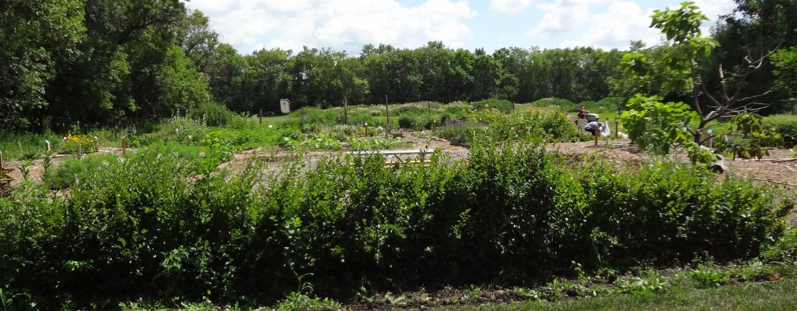 Photo of Yunker Farm Park garden plots