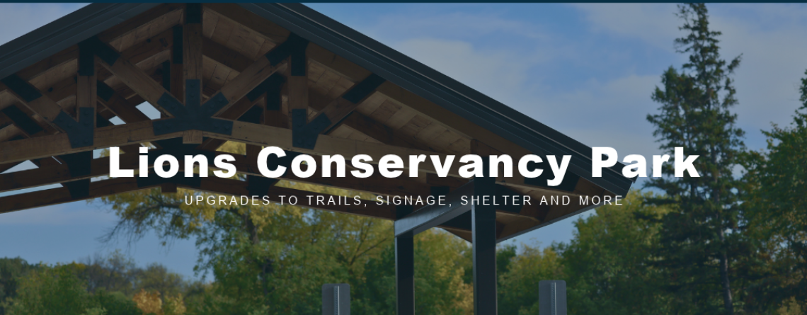 The roof of a new shelter at a park