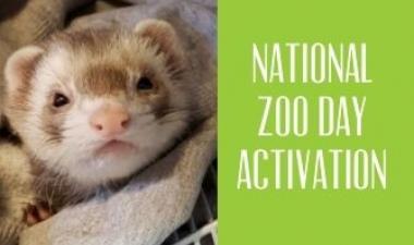 This image shows a ferret from the zoo and the words national Zoo Day Activation.