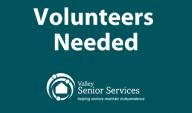 This image shows a graphic of meals on wheels volunteers.