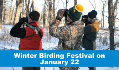 This image shows a graphic of winter birding festival. 