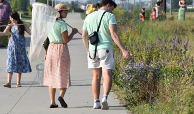 Participants with butterfly nets search for monarch butterflies along the bike path at urban plains park