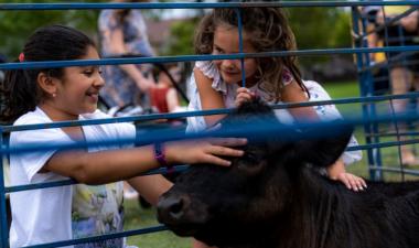 Two girls petting a black cow at a petting zoo