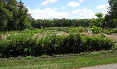 Photo of Yunker Farm Park garden plots.