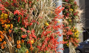 This image shows a fall floral installation on a light pole at broadway square