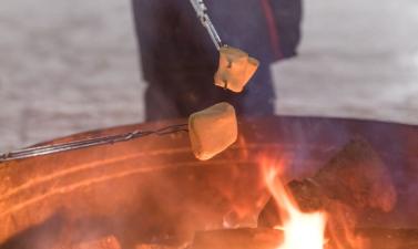 Photo of marshmallows roasting over fire