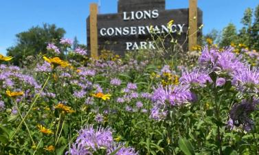 photo of lions conservancy park sign with wildflowers surrounding it