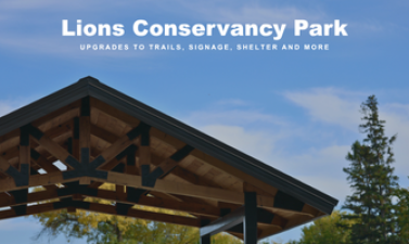 The roof of a new shelter at a park
