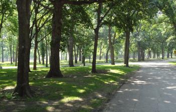 This image shows the recreational trail at Oak Grove Path.