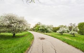 This image shows the recreational trail at Orchard Glen Park.