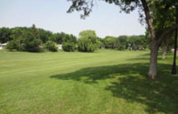 This image shows the grassy area at Oxbow Park.