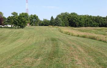 This image shows the grassy area at Rosewood Park.