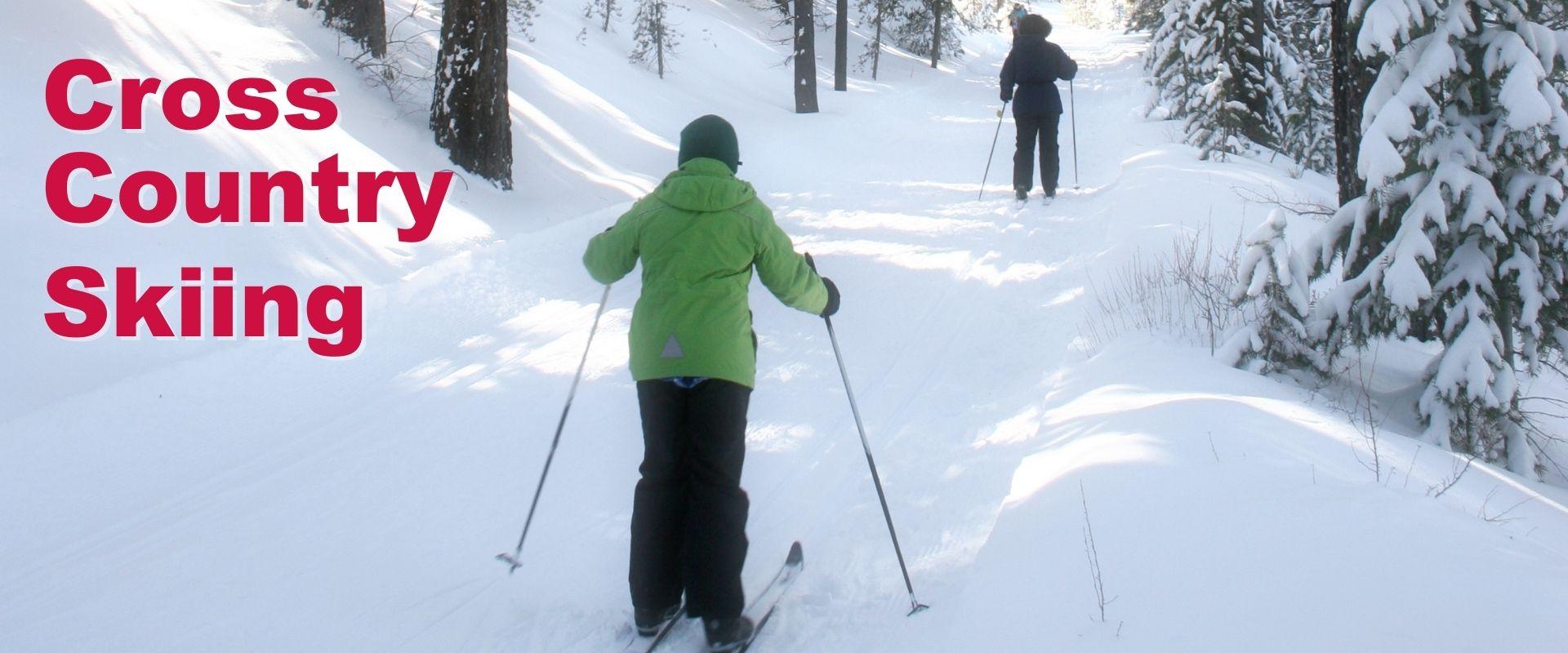 This image shows cross country skiing.