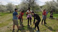 This image shows kids planting a tree in Orchard Glen Park. 