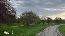 May 10, 2025 - Orchard Glen Park from landscape view walking on the path 