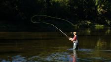 Person standing knee-deep in a calm river fly fishing, casting a line that curves through the air, with trees and sunlight along the riverbank in the background.