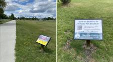 wo photos of the Brunsdale Park StoryWalk. One shows a paved walking path lined with StoryWalk signs across a grassy park, and the other shows the final sign thanking visitors and providing a QR code for more information.