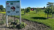World Orchard educational sign stands beside rows of young fruit trees and garden plots in a grassy park under a clear blue sky.