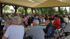 A large group of older adults visits around picnic tables under a shaded park shelter during a community picnic.
